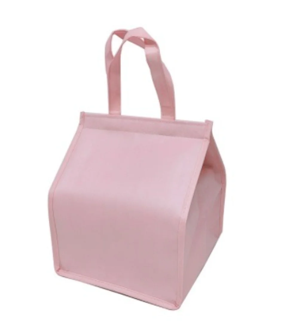 Laminated pp Fashion Blue Non Woven Big Laminated Lunch Cooler Bag with MAGIC TAPE closure - ICEK-1601 - ICEK-2101 - Detail